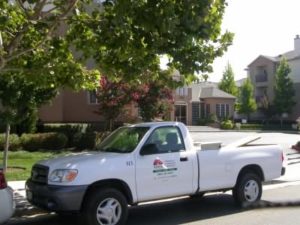 tree landscaping company