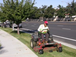 commercial lawn maintenance service