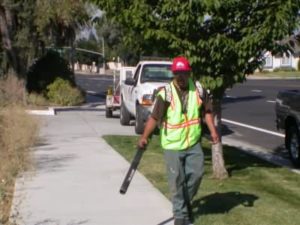 leafblowing services