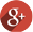 Google +