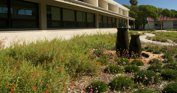 passive-solar-xeriscaping