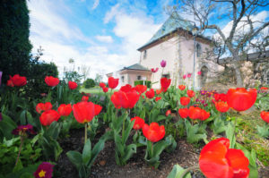 college campus landscape service