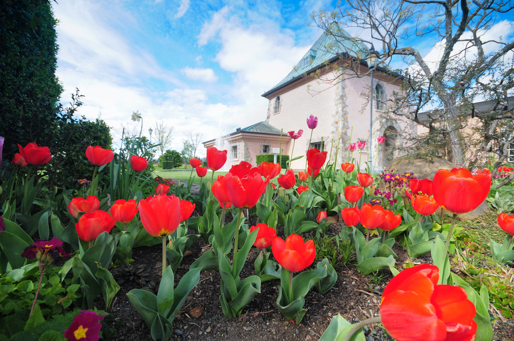 campus landscaping services