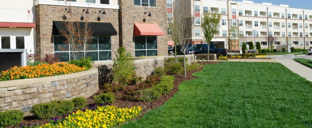 affordable condo landscaping service, San Jose Ca